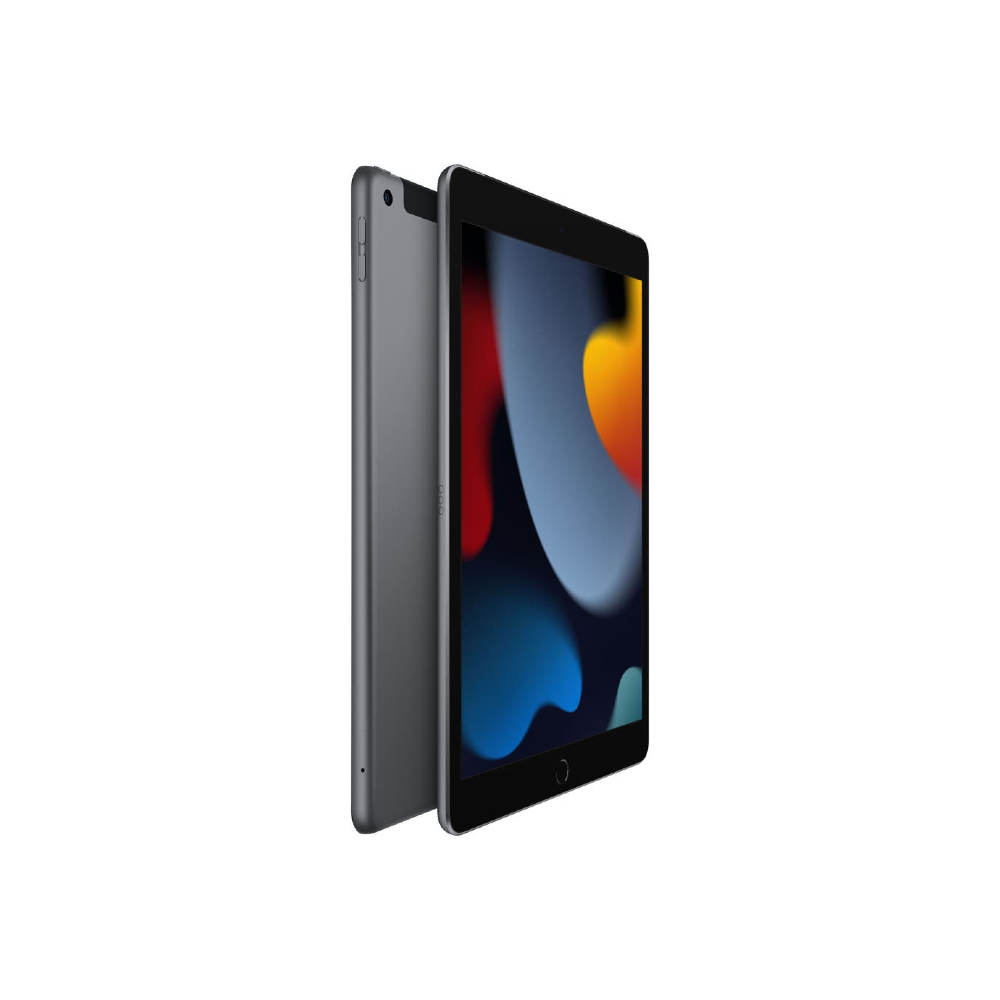 iPad (9th gen)